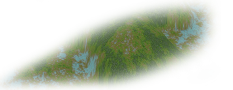 verde2
